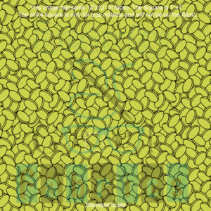 Gold Coins Coord - PP Preorder