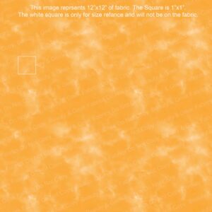 S Next Coord Vinyl - PP Preorder