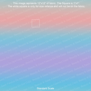 Princess of Power Coord - PP Preorder