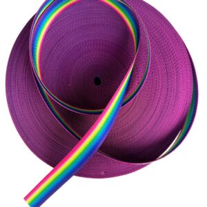 Rainbow Vertical Webbing - Retail