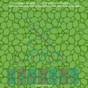 Turtle Shell - Retail