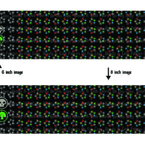 Elements Vinyl Panel Roll - PP Preorder