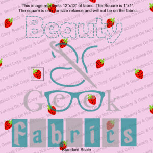 Strawberry Girl Coord - Retail